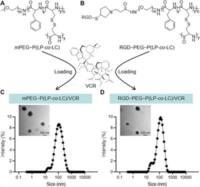 Efficacy analysis of targeted nanodrug for non-small cell lung cancer therapy
